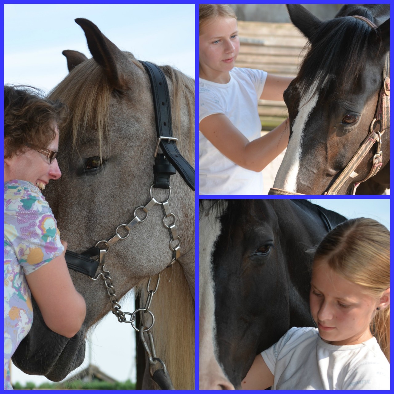 Equine Assisted Coaching A helping Horse